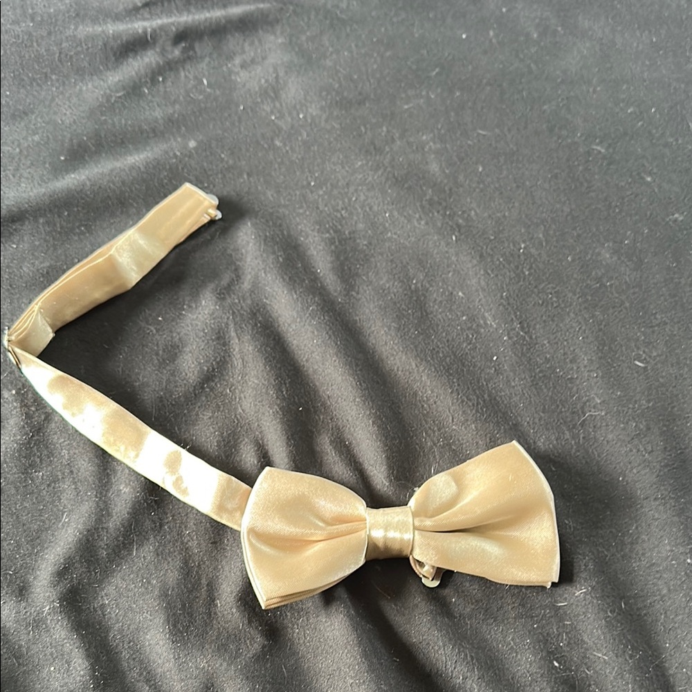 Elegant Gold Bow Tie